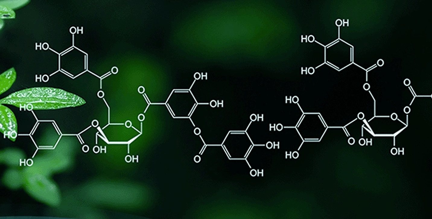 Organic Chemistry: Synthesis, Mechanisms & Innovations